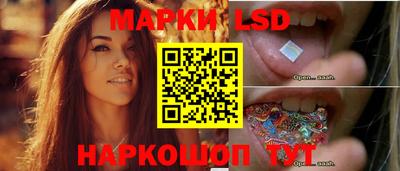 СК Абакан