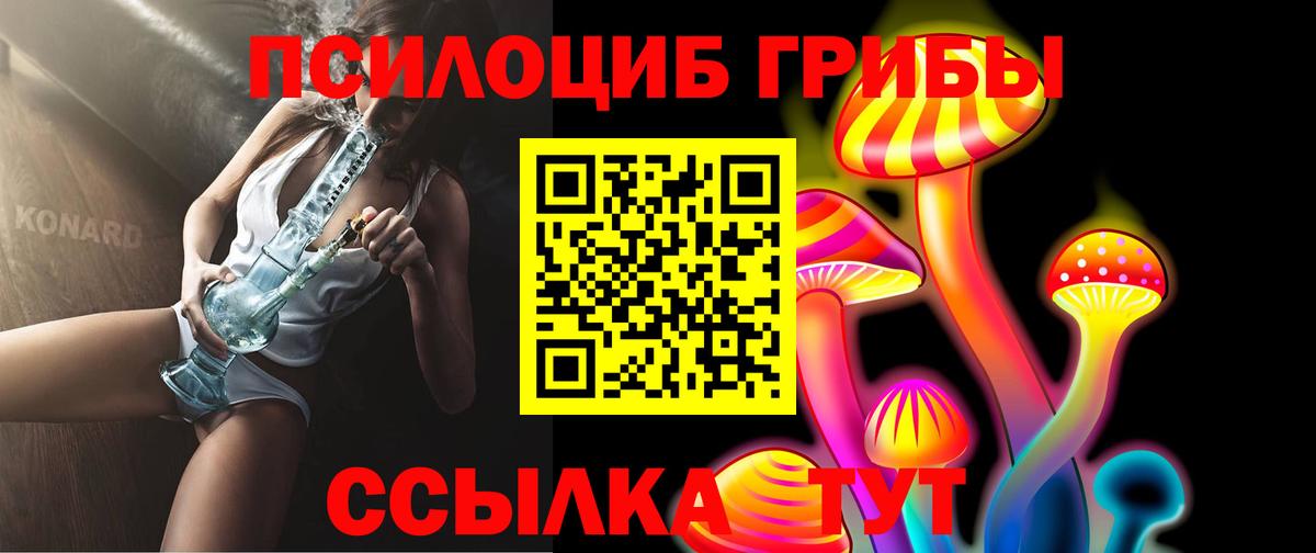 Галлюциногенные грибы Psilocybine cubensis Россия